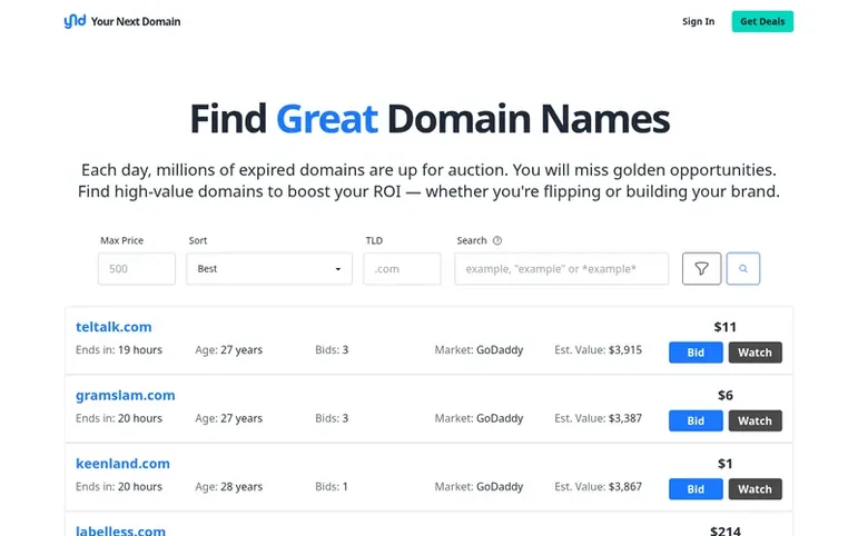 Screenshot of the Your Next Domain homepage